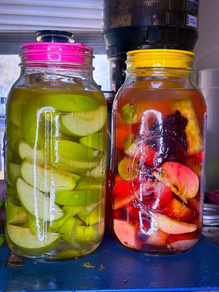 Fruit fermentation jars