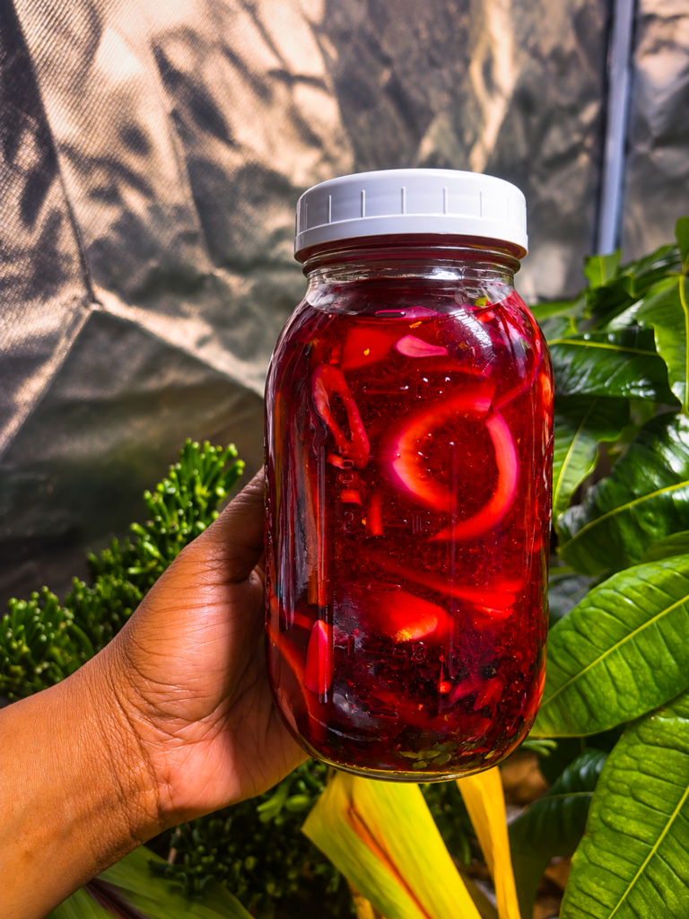 Deep ruby herbal vinegar infusion with Jamaican roselle and citrus